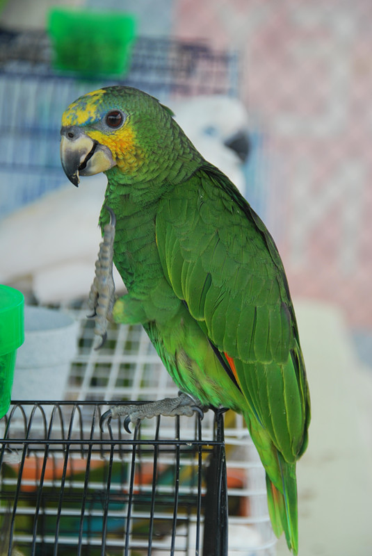 DSC_0066_.jpg
