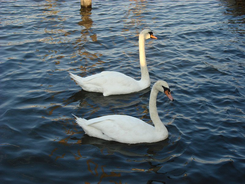 dsc01767_.jpg