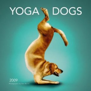 yogadog 2.jpg
