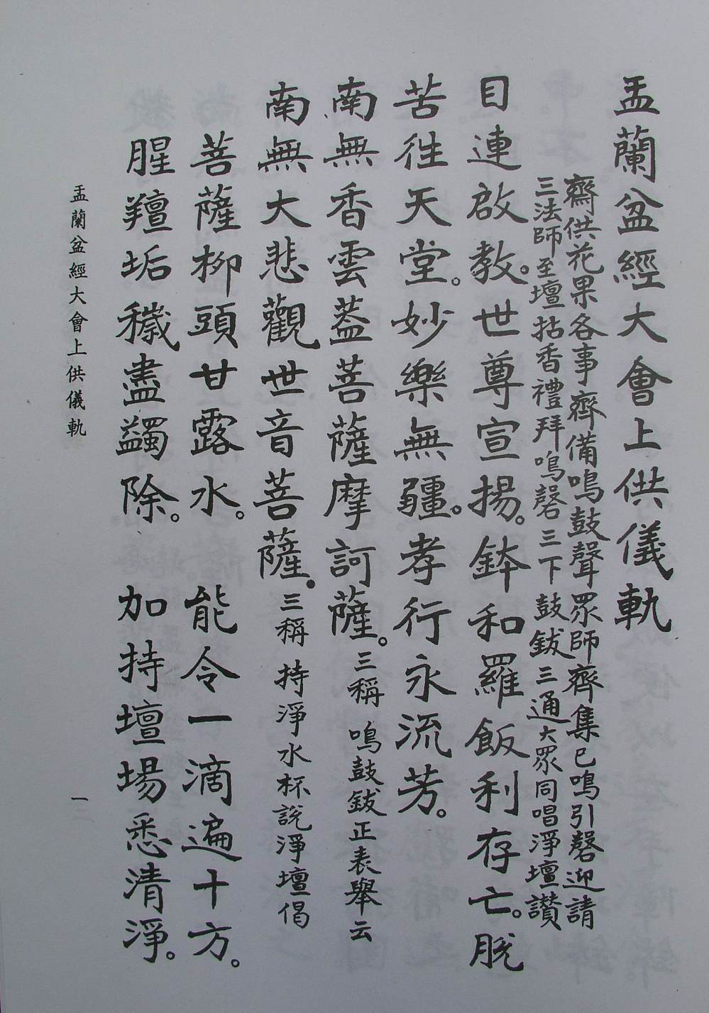 P1010019.JPG