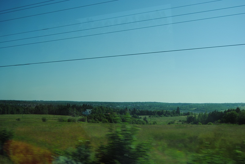 DSC_1622.JPG