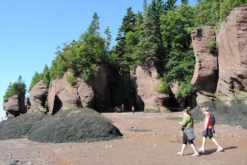 DSC_1748.JPG