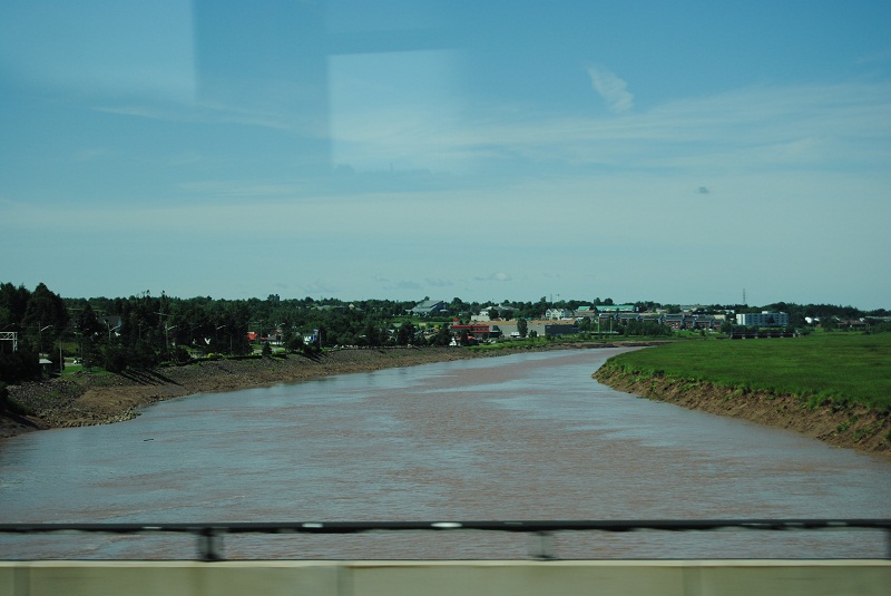DSC_1896.JPG