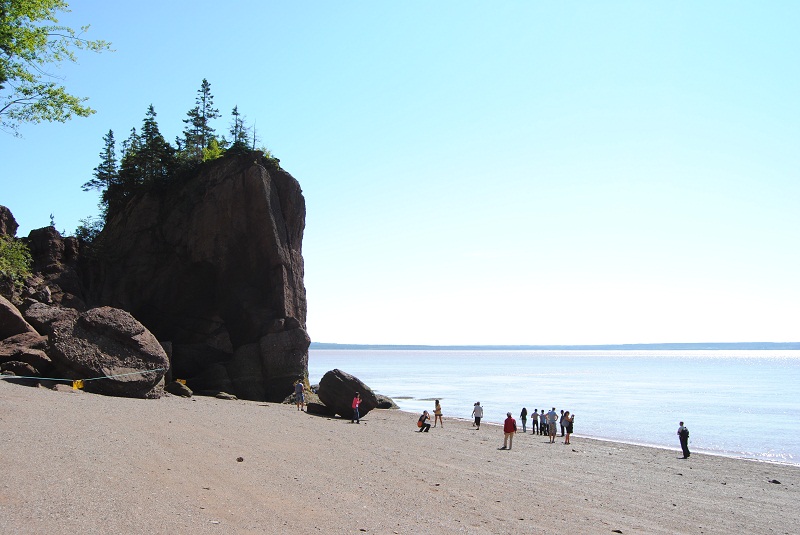 DSC_1837.JPG