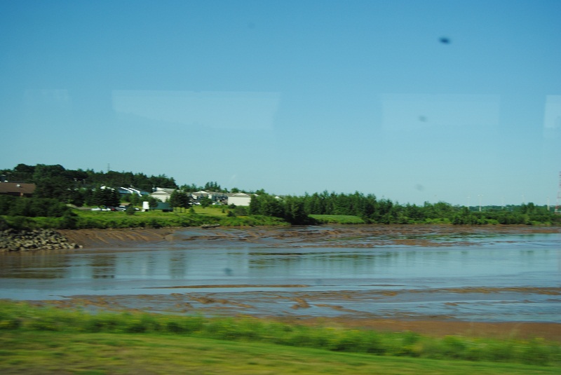 DSC_1609.JPG