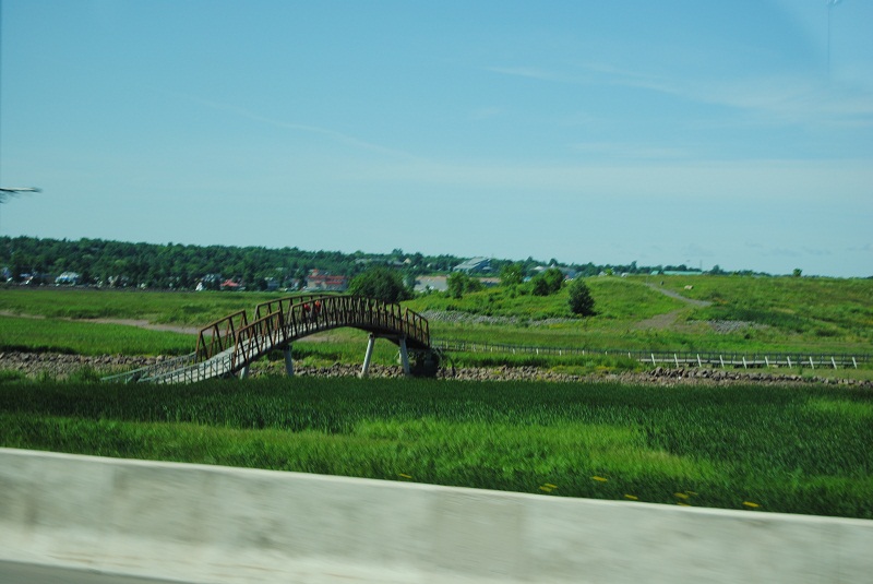 DSC_1899.JPG