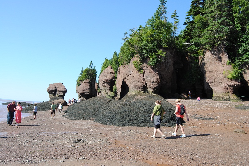 DSC_1749.JPG