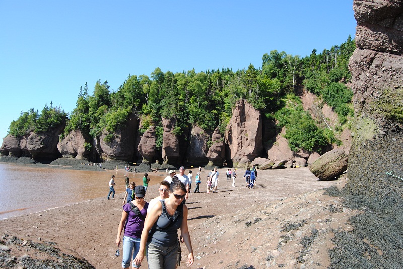DSC_1826.JPG
