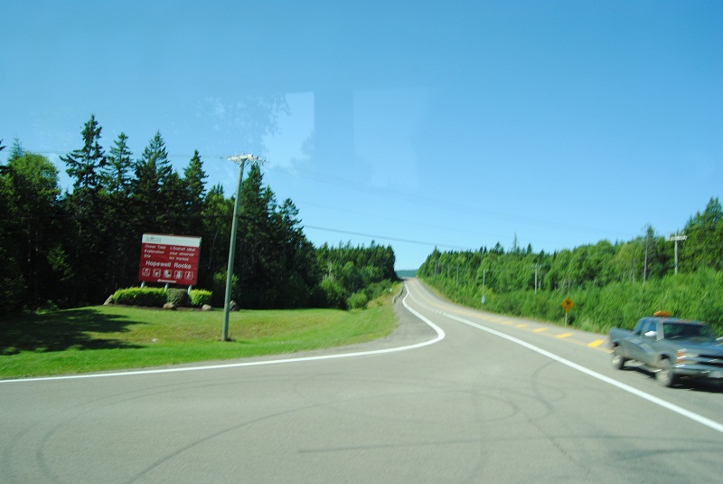 DSC_1890.JPG