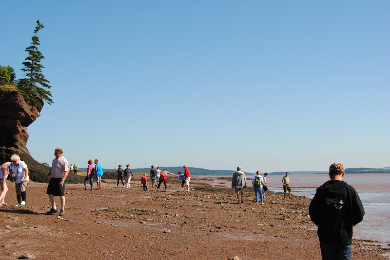 DSC_1743.JPG