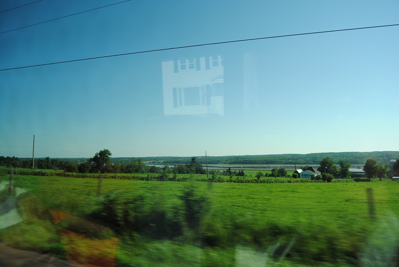 DSC_1629.JPG