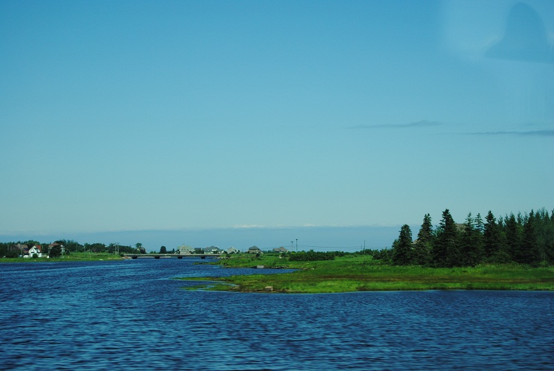 DSC_1926.JPG