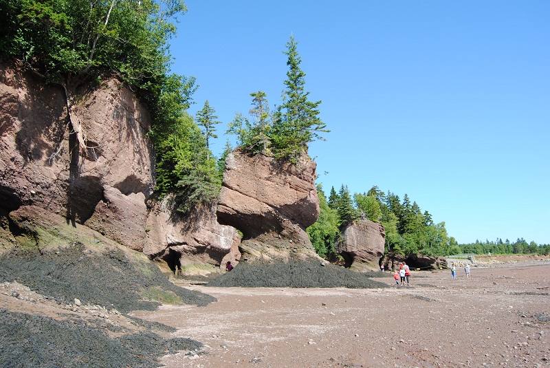 DSC_1758.JPG