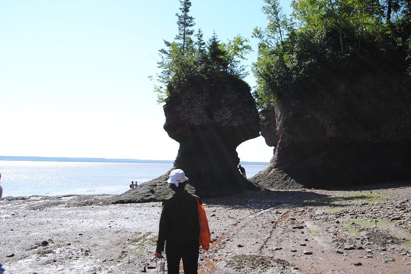 DSC_1787.JPG