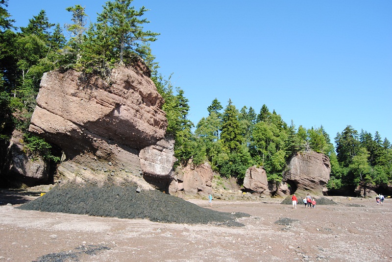 DSC_1762.JPG
