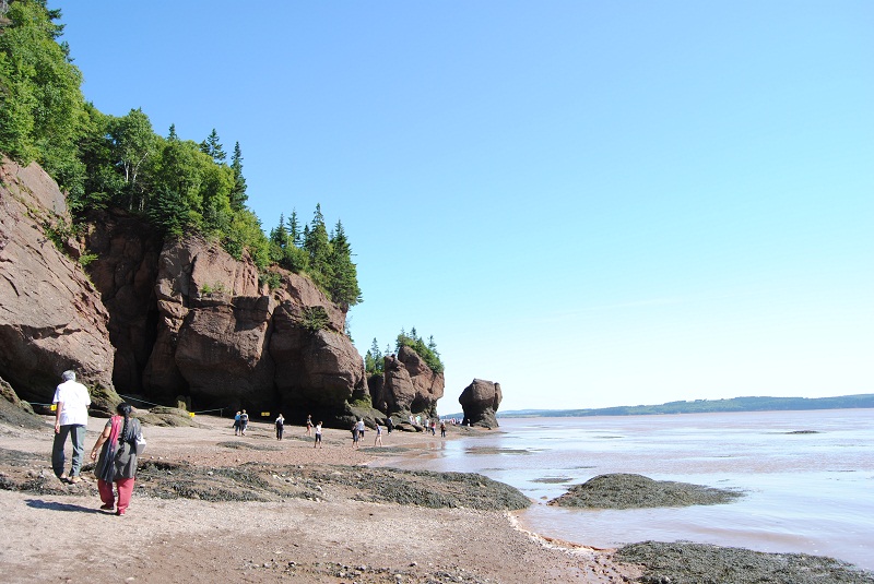 DSC_1849.JPG