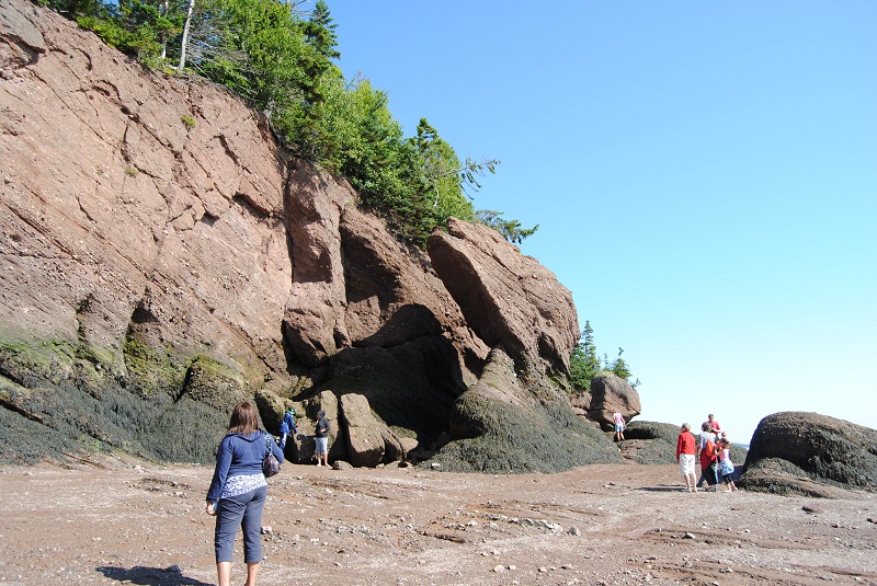 DSC_1732.JPG