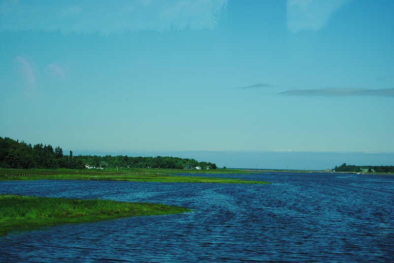 DSC_1928.JPG