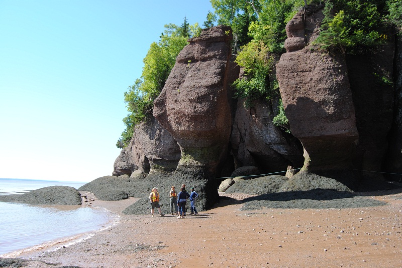 DSC_1831.JPG
