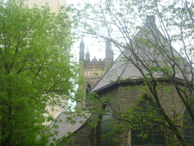 DSC01685.JPG