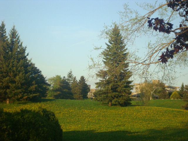DSC01655.JPG