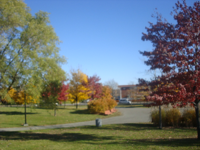 DSC01313.JPG