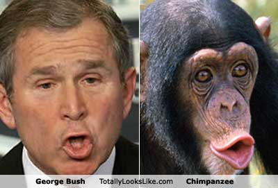 9george-bush[1].jpg