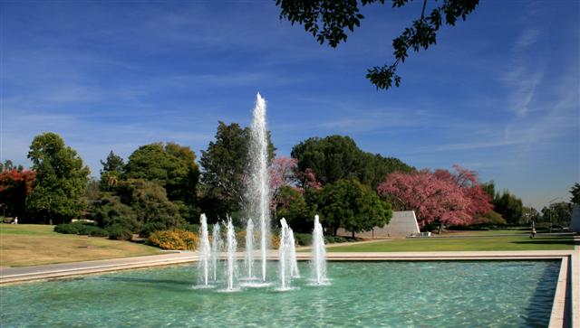 Picture 099 (Small).jpg