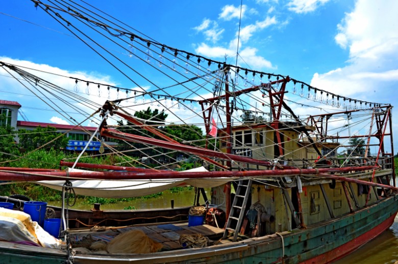 Ƭ 116_conew1.jpg