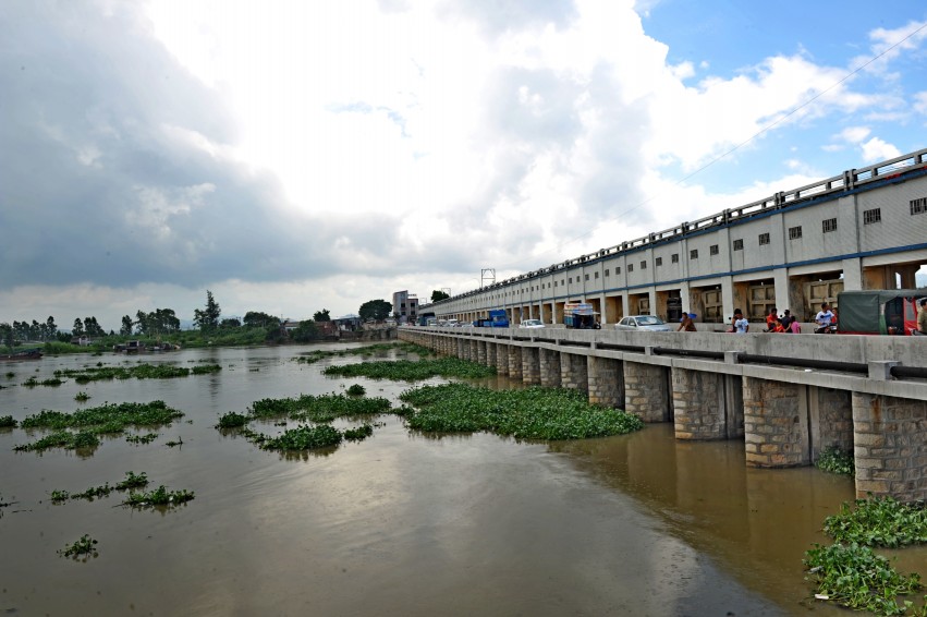 Ƭ 093_conew1.jpg