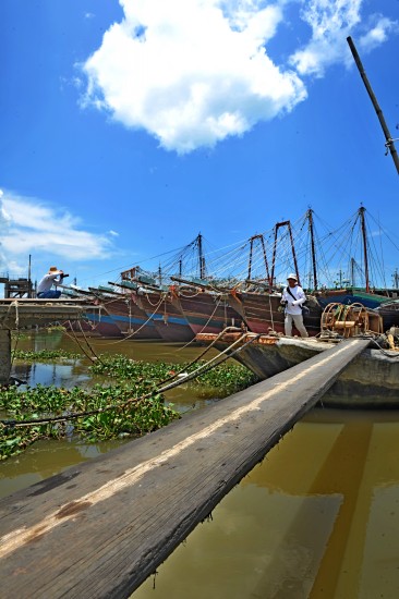 Ƭ 078_conew1.jpg