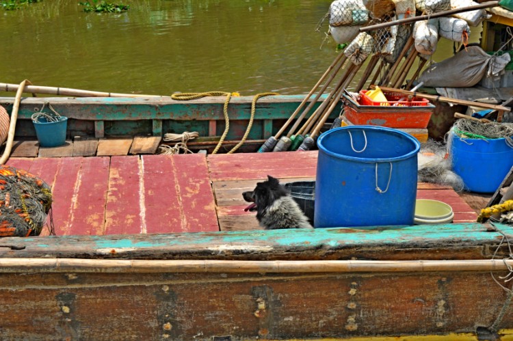 Ƭ 128_conew1.jpg