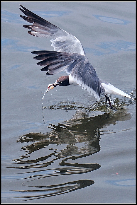 DSC_8318.JPG