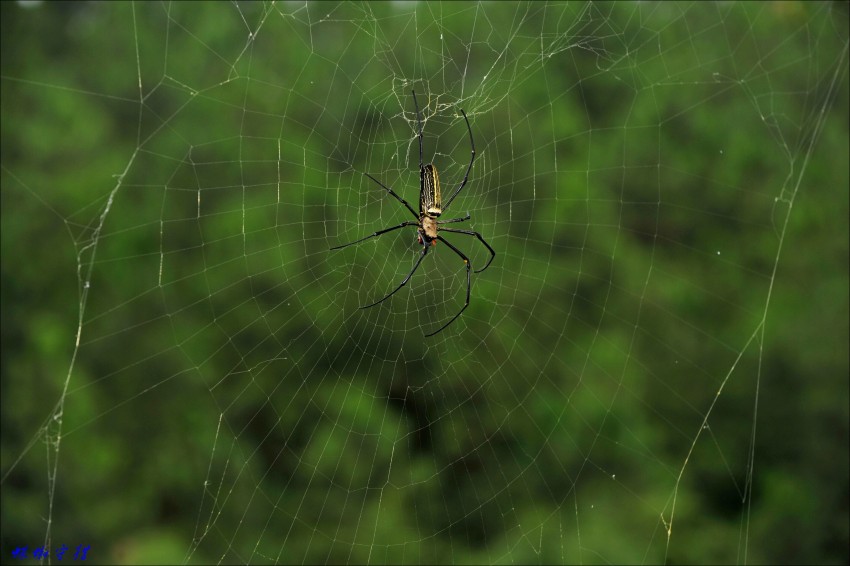 ��Ƭ 041_conew2.jpg