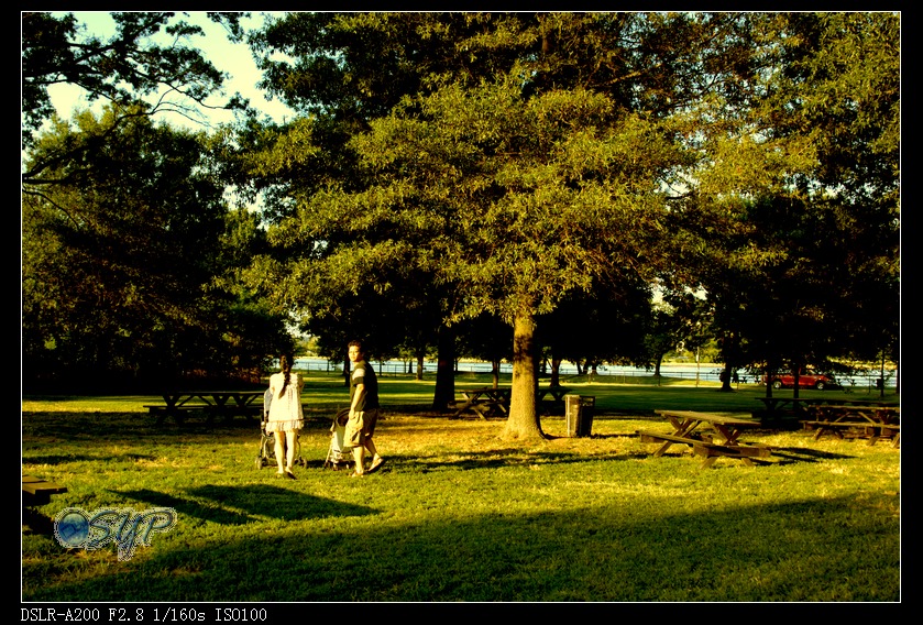 DSC02782a.jpg