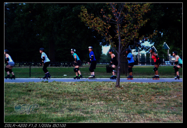 DSC02407a.jpg