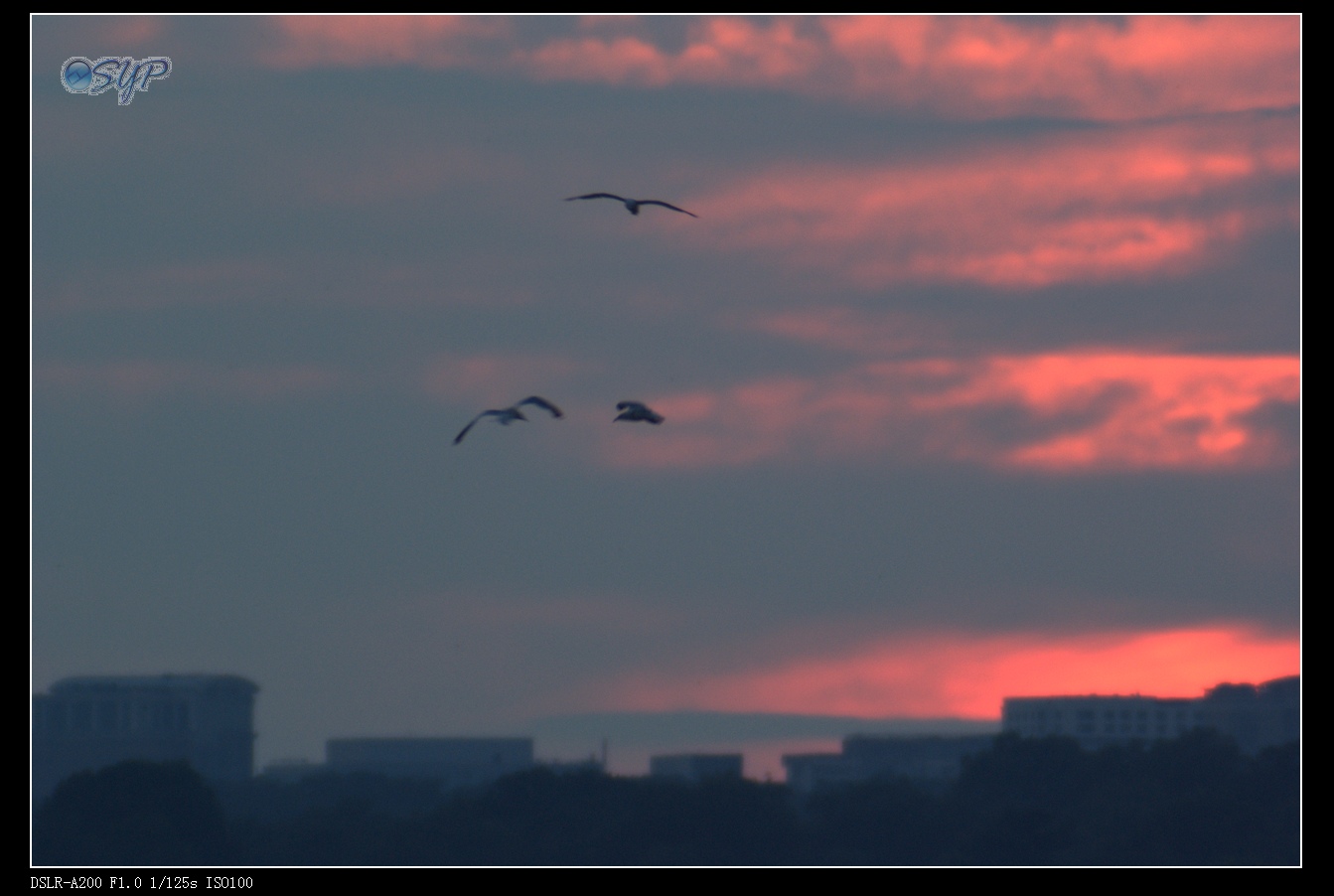 DSC03405a.jpg
