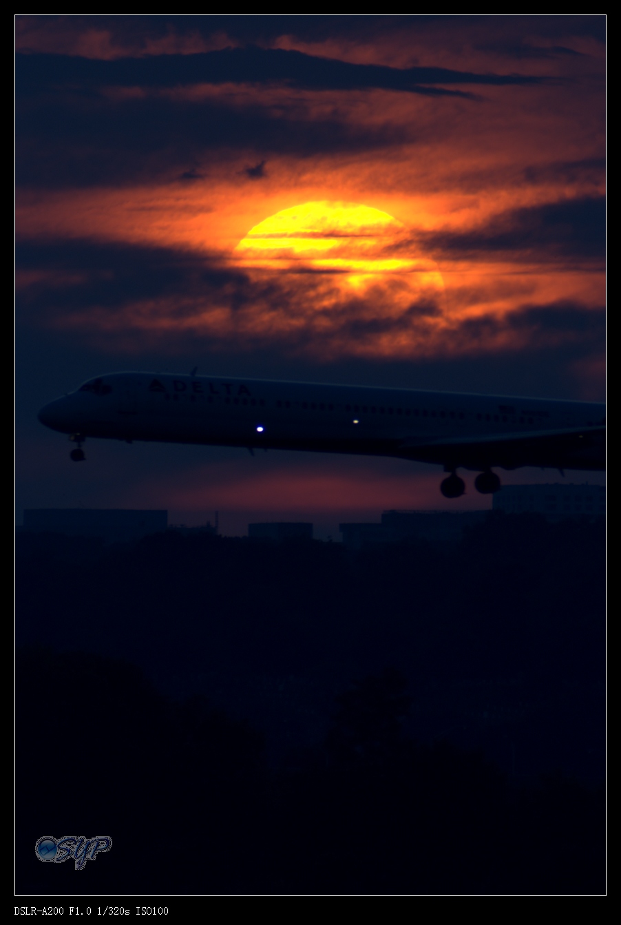 DSC03388aa.jpg