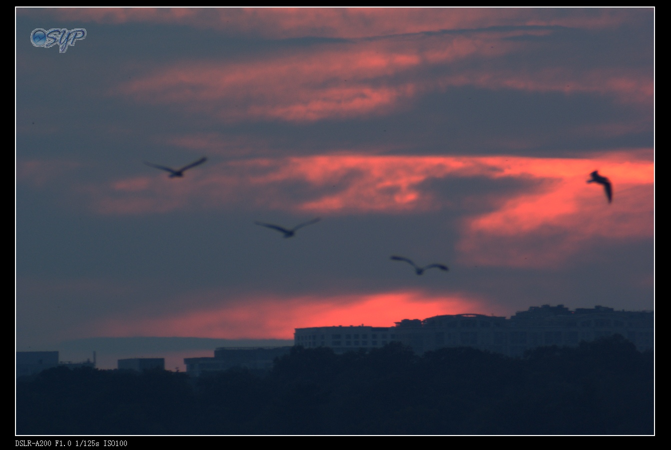 DSC03407a.jpg