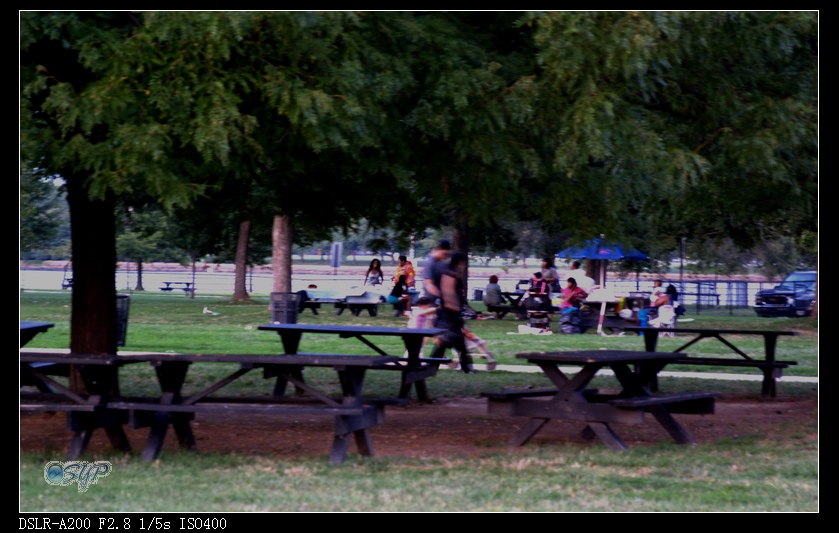 DSC03442a.jpg