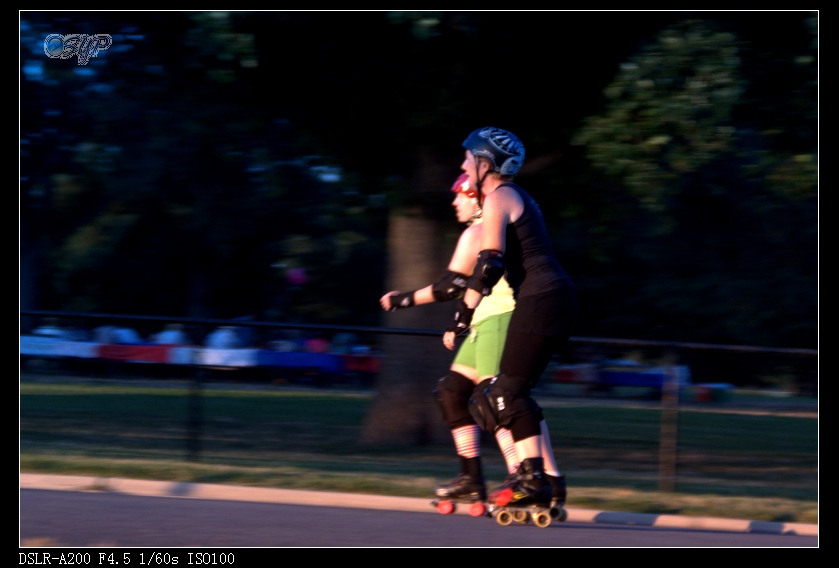 DSC02914a.jpg