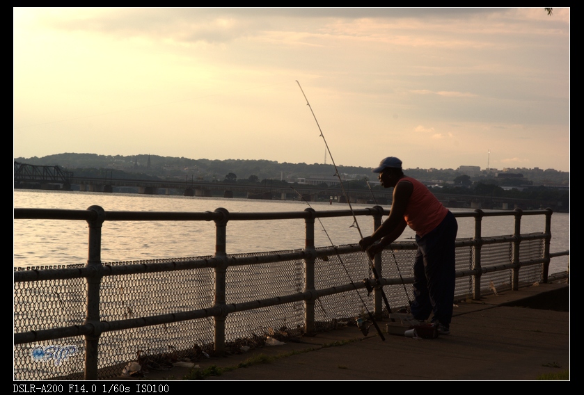 DSC03071a.jpg