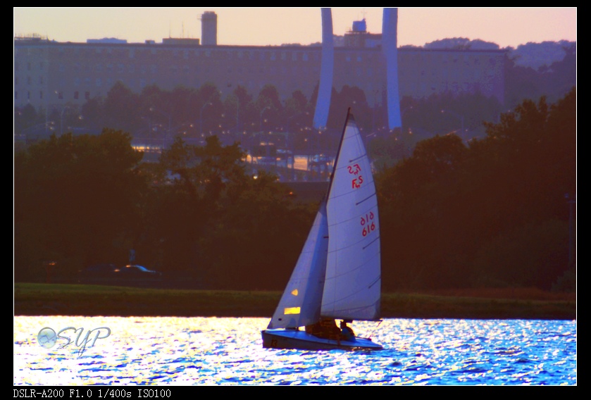 DSC03296a.jpg