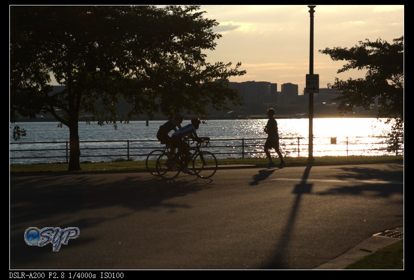 DSC02800a.jpg
