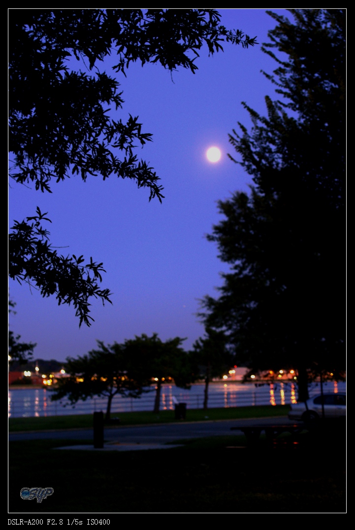 DSC03048a.jpg