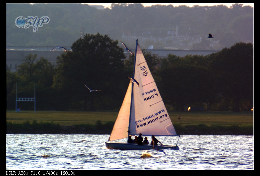 DSC03274a.jpg
