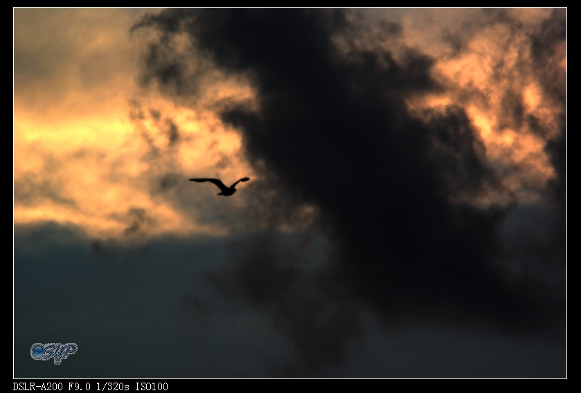 DSC03131a.jpg