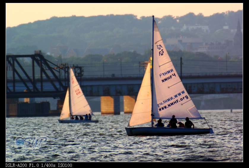 DSC03262a.jpg