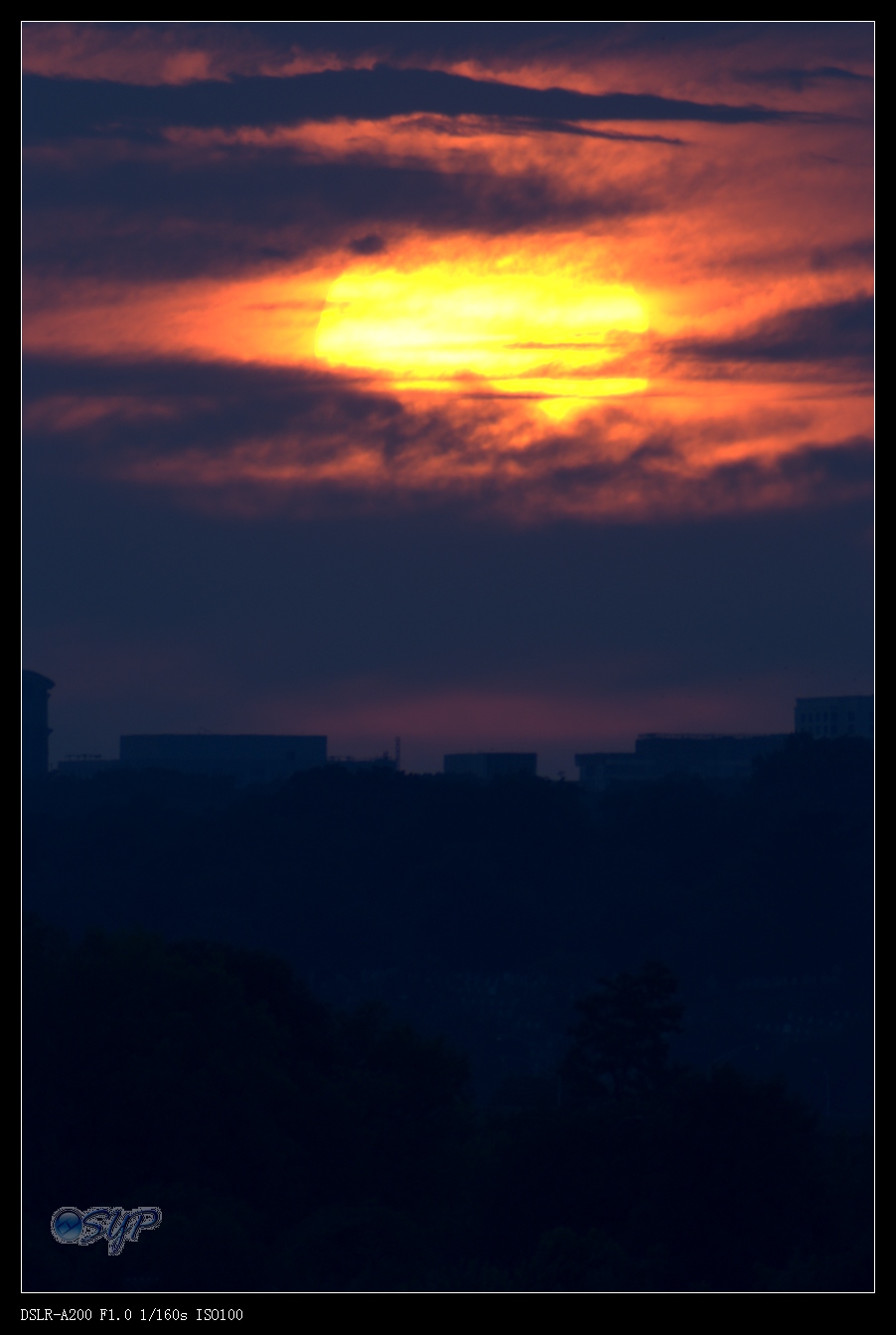 DSC03384aa.jpg