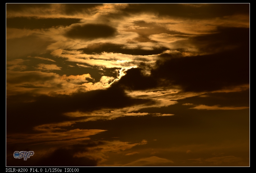 DSC03074a.jpg